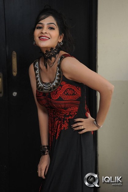 Madhumitha-at-Maine-Pyar-Kiya-Movie-Success-Meet